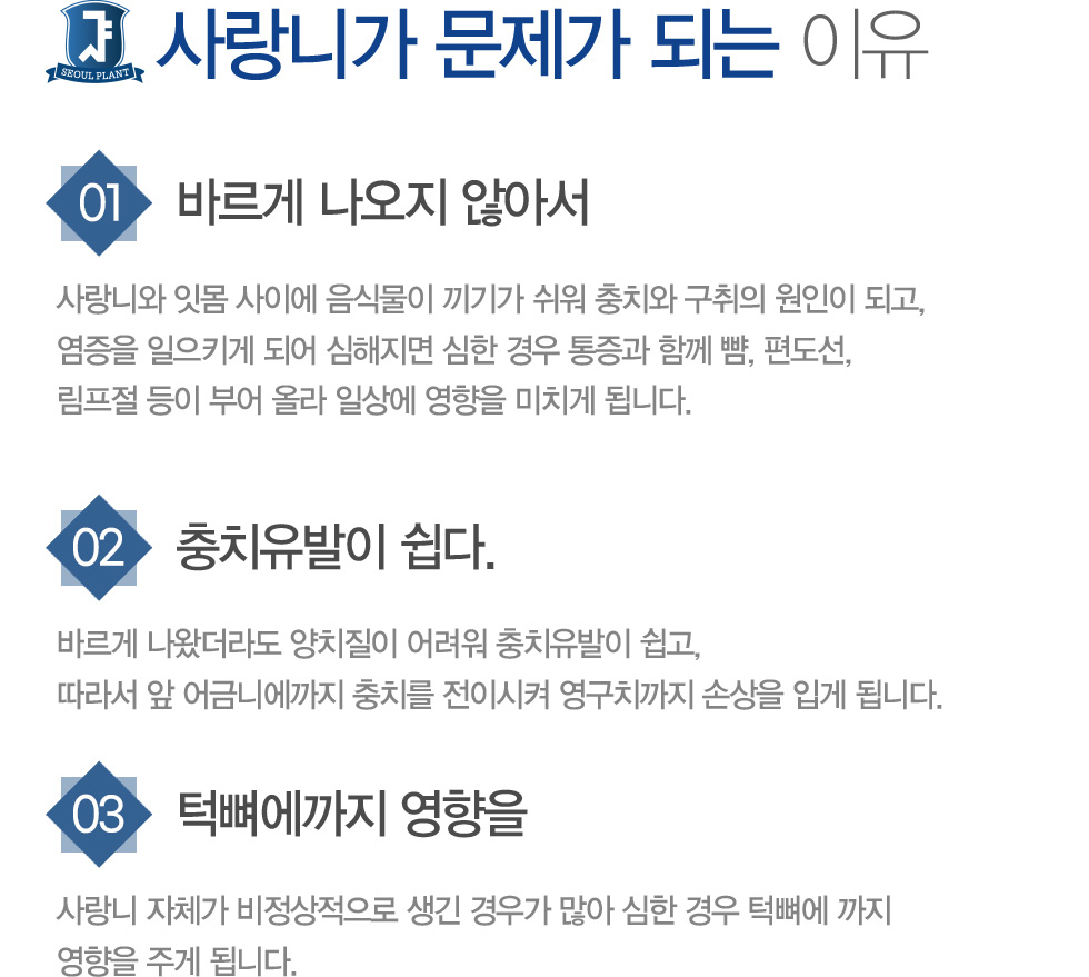 ����ϰ� ������ �Ǵ� ����